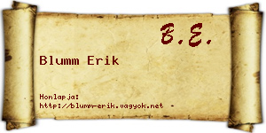 Blumm Erik névjegykártya